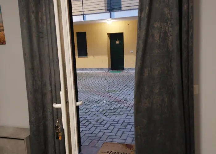 Girasole * 알레산드리아