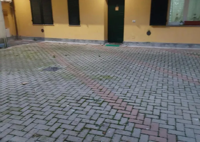 Girasole * 알레산드리아