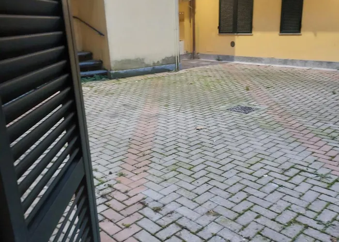 Girasole * 알레산드리아